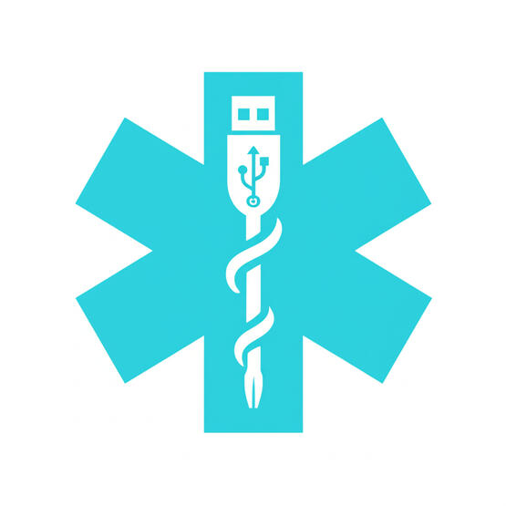 Emergency Geek Services